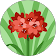 Dahlie 7.