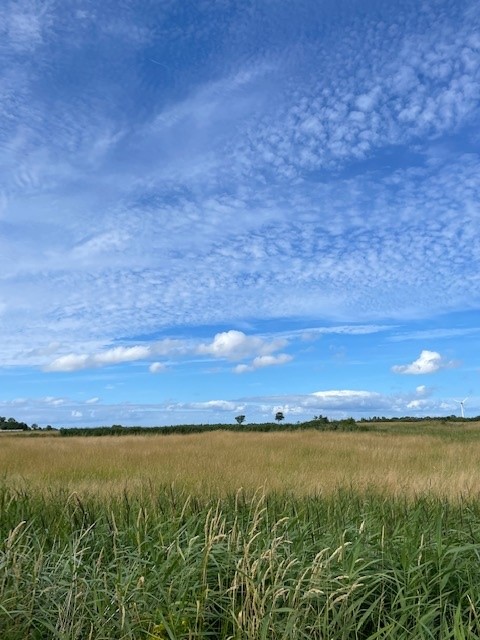 natur1