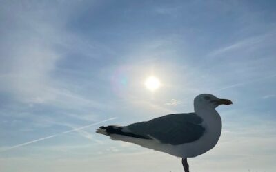 DEINE ZEIT ZU VERSCHENKEN  IST ETWAS GANZ BESONDERES☀️